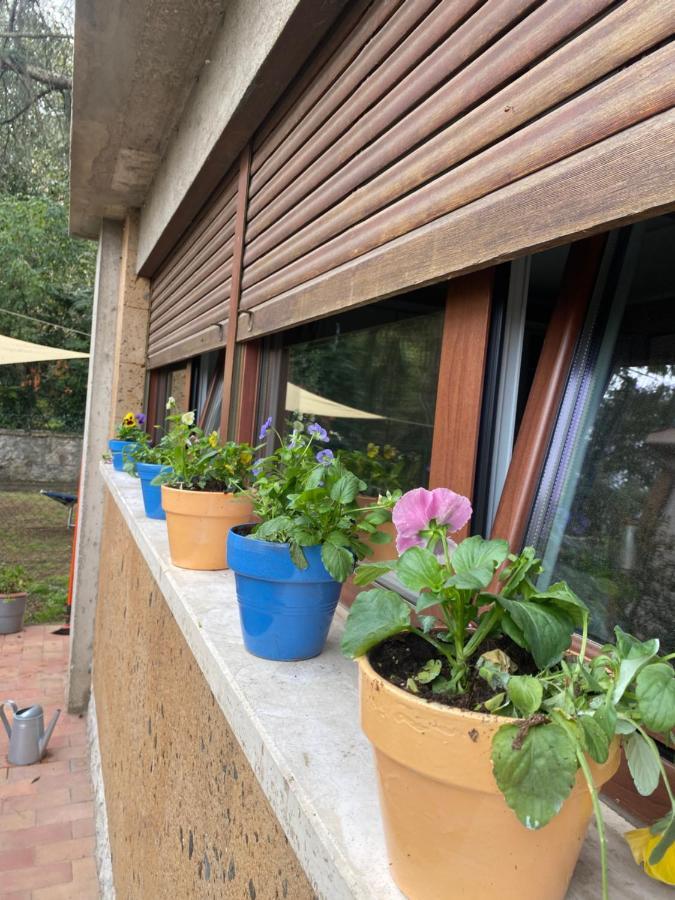 Ferienwohnung Il Giardinetto Di Elelu' Private Garage Orvieto Exterior foto
